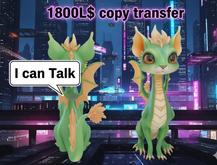 Dragon Cat talk – Interactive Scripted Companion