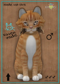 MEGAPUSS FLOOFY: KittyCatS Box - European Shorthair - Ginger Snap - MegaPuss Floofy