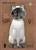 MEGAPUSS CHUBBY: KittyCatS Box - Blue Tortie - MegaPuss Chubby