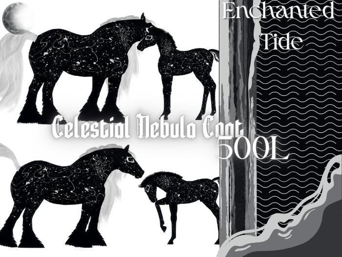 Celestial Nebula [Teegle Coat]