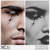CIN// SPIDER EYE GIFT