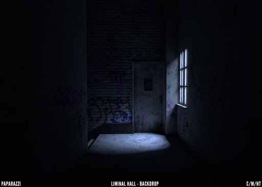 Paparazzi - BACKDROP - Liminal Hall 2