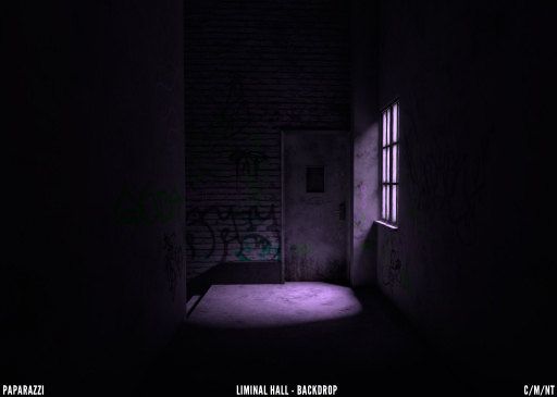 Paparazzi - BACKDROP - Liminal Hall 3
