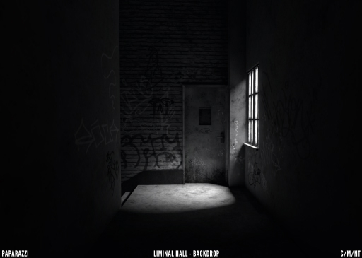 Paparazzi - BACKDROP - Liminal Hall 5