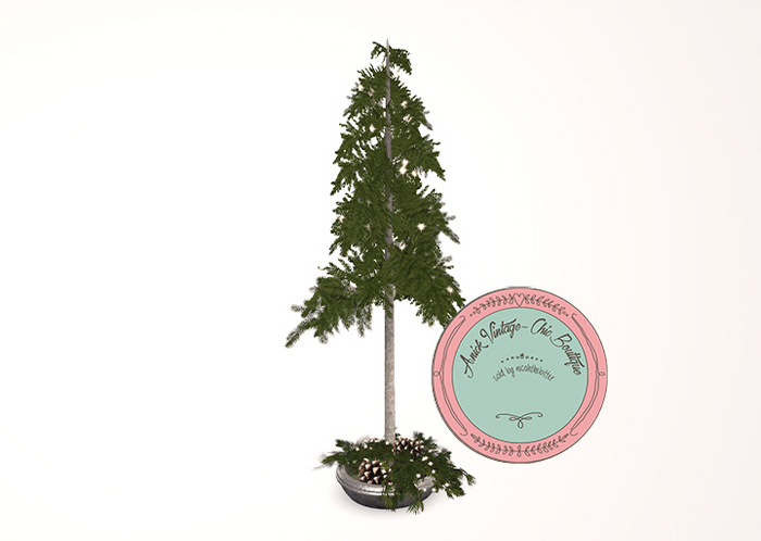 Trompe Loeil - Narrow Tree