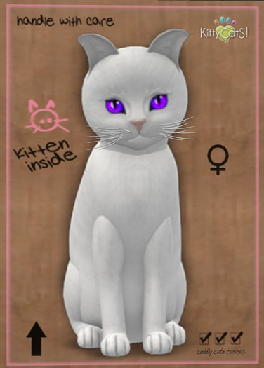 MEGAPUSS: KittyCatS Box - Russian - White - MegaPuss