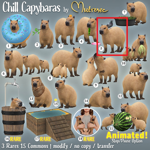 5. Mutresse-Chill Capybaras