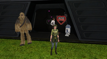 SW Particles
