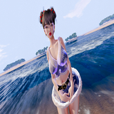 Vets womens Santa set all braches