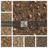 TB -  TERRAIN VINEYARD SOIL