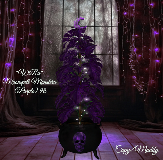 ~WiRa~ Moonspell Monstera (Purple) BOX