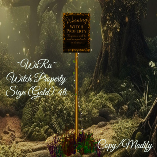 ~WiRa~ Witch Property Sign (Gold) BOX