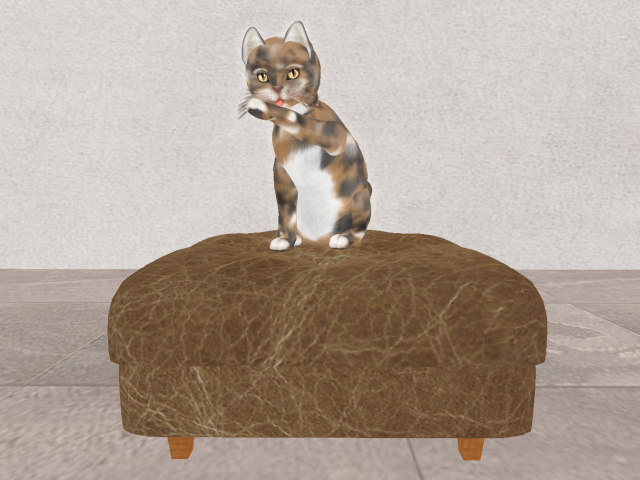KittyCats Interactive Leather Ottoman w/Texture Change HUD