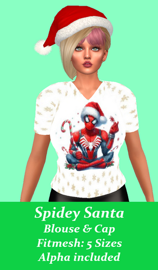 Spidey Santa Blouse & Cap