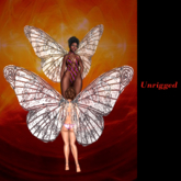 @AdReNaLiZeD@ Demo Box - Rose