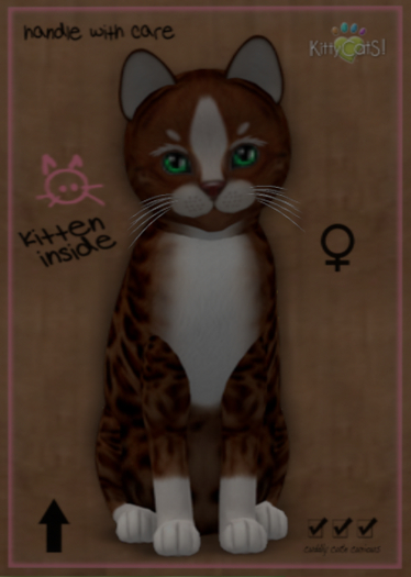 KittyCatS Box - Genesis - Ginger II ♀
