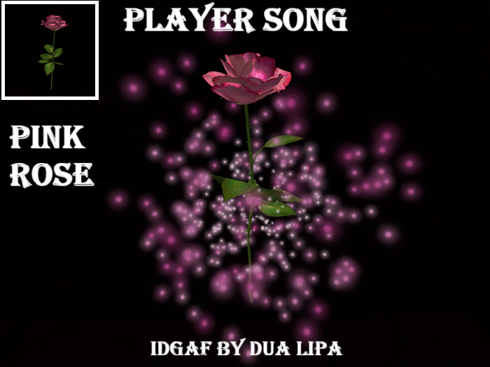 Player Song Pink Rose IDGAF by Dua Lipa