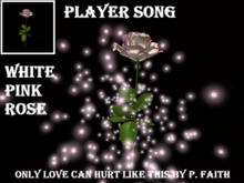 Player Song White-Pink Only Love Can Hurt Like by P.Faith