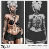 CIN// 148.B.INK AND CIN// 07.F.INK