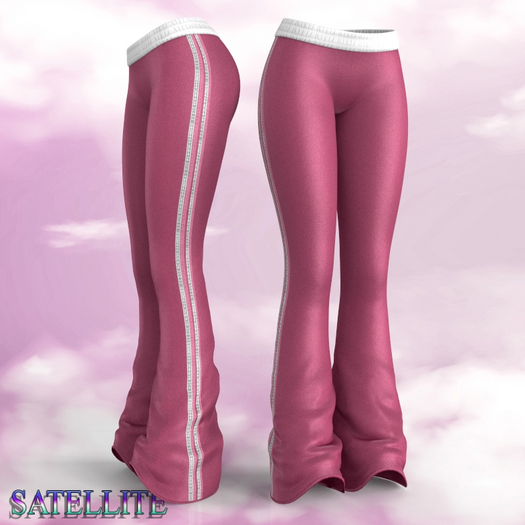 Sweatpants Pants