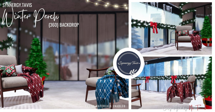 SYNNERGY.TAVIS//Winter Perch {360} Backdrop