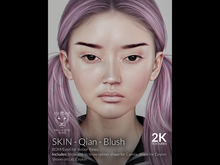 {DS} - Skin - Qian - BLUSH 2K