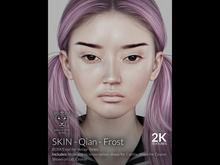 {DS} - Skin - Qian - FROST 2K