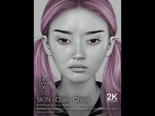{DS} - Skin - Qian - GHOST 2K