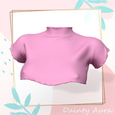 Crop Turtleneck Shirt
