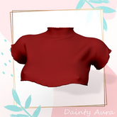 Crop Turtleneck Shirt