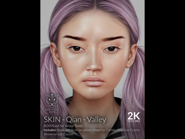 {DS} - Skin - Qian - VALLEY 2K