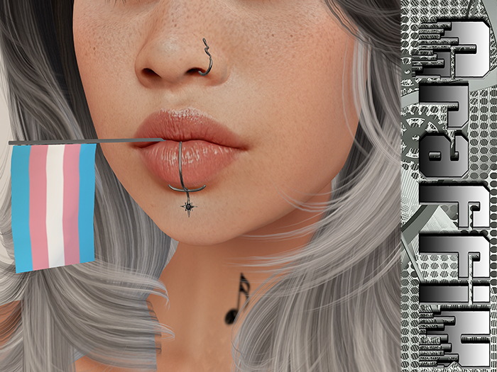 Graffik ~ Pride Flags ~ Transgender ~ Add to Unpack