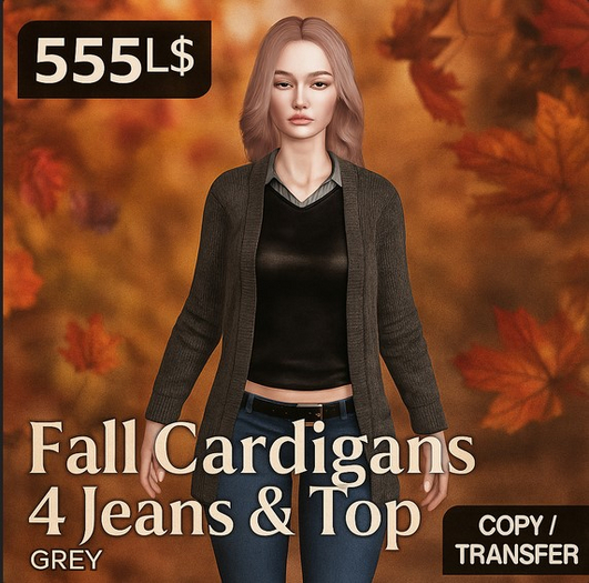 Fall Cardigans with Jeans & Top (Grey Edition)