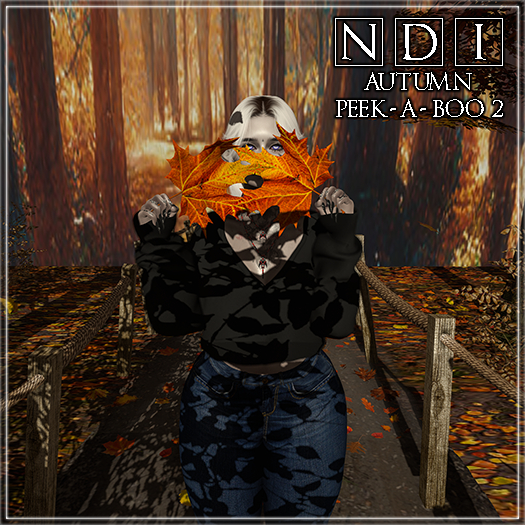 .:*NDI*:. Autumn Peek-A-Boo 2