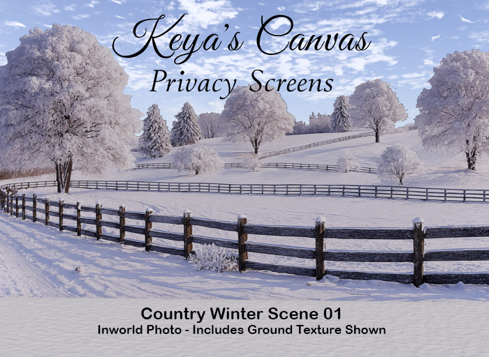 Keya's Canvas - Winter Country Privacy Screen 01