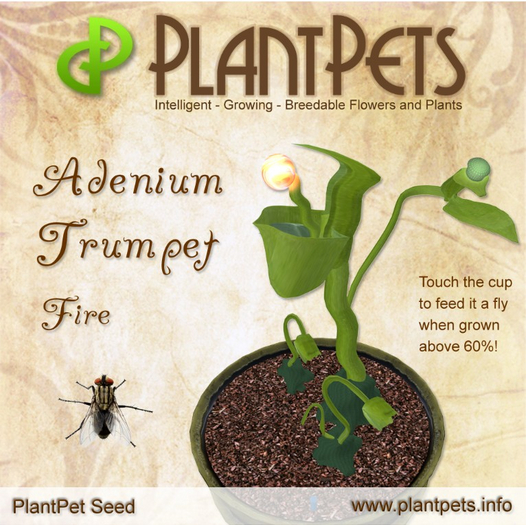 PlantPet Seed [Adenium Trumpet *Fire*]