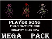 Player Song Rose IDGAF by Duan Lipa MEGA PACK