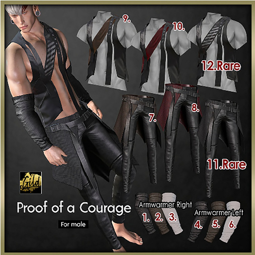 12.legacy [Gild]POC_Vest_BlackBand RARE