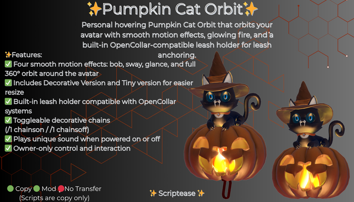 Pumpkin Cat Orbit 