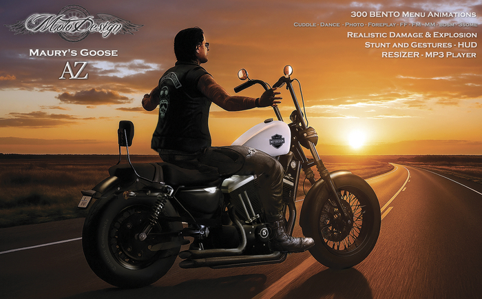 Motorcycle - MotoDesign - Maury's Goose - AZ