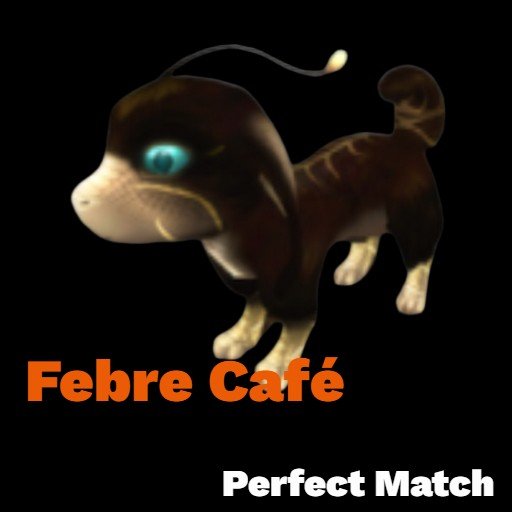 Febre cafe F Loyal #8412136