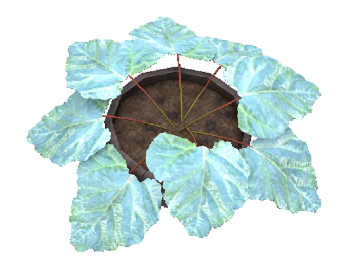 DFS Rhubarb Plant (FSB#91)