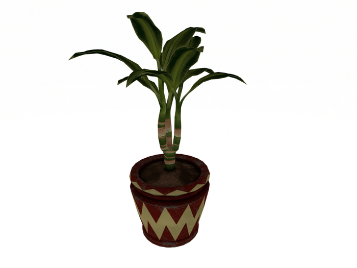 Plant 2