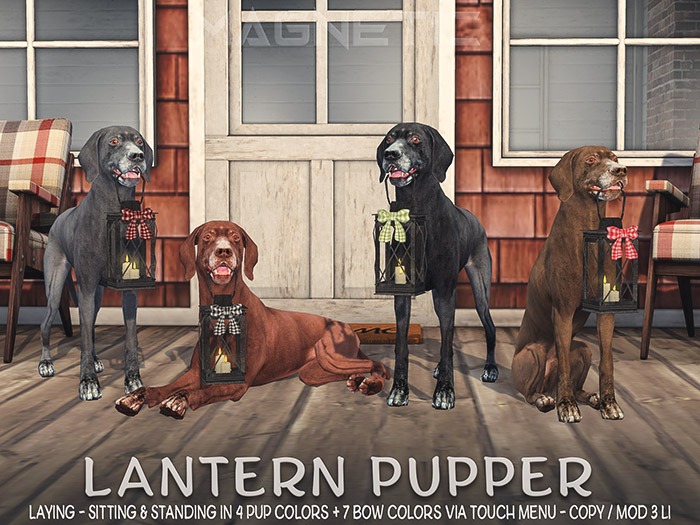 Magnetic - Lantern Pupper 