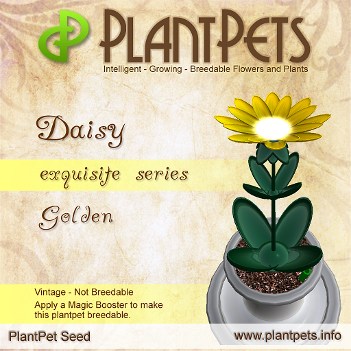 PlantPet Seed [Daisy *Golden*] RARE VINTAGE