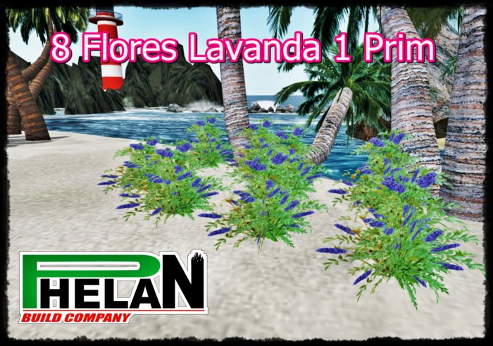 Flor lavanda lilas