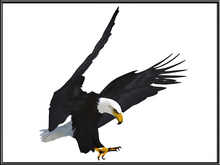 [Feliz] Flying Eagle 02 - Mesh - Full Perm