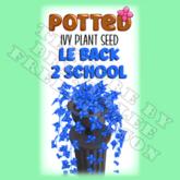 Potted: Ivy Plant Seed: LE Back 2 School (ACTUAL PLANT SEED)