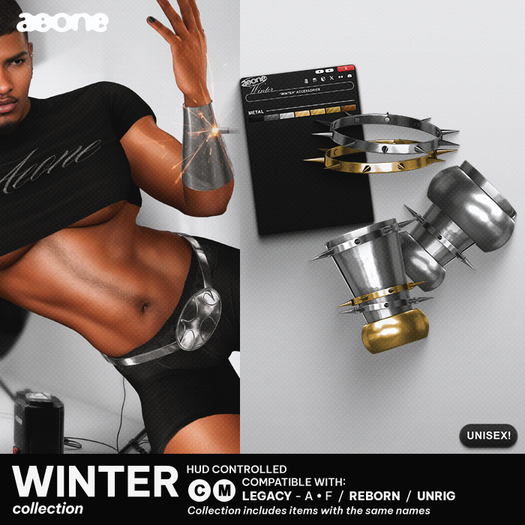 (aeone) "Winter" accessories