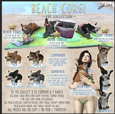 JIAN Beach Corgis :: Wanderer (Sable)